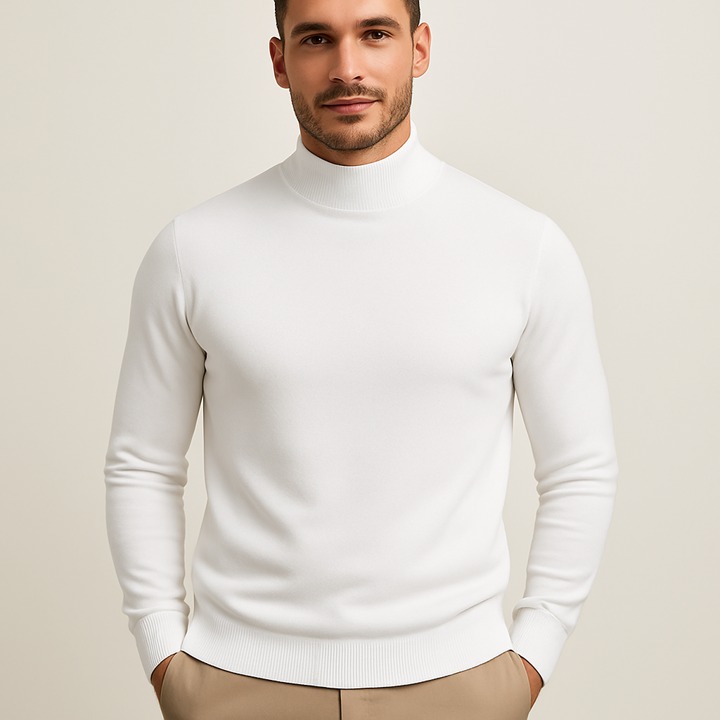 Men's slim fit roll neck long sleeve sweater